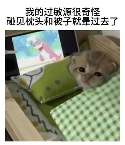 e8cffc685fe43b32b42a0b893b4147eb