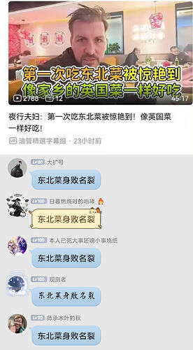 东北菜身败名裂